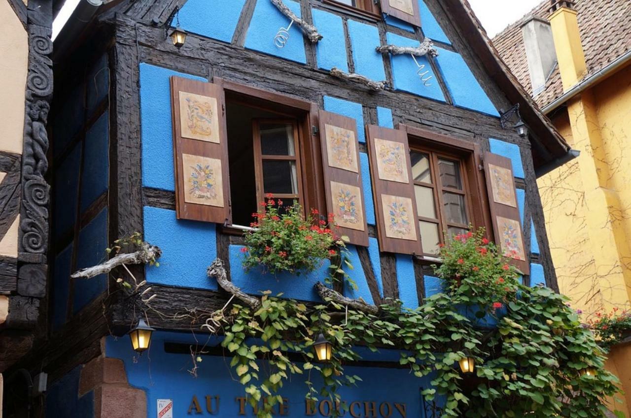 La Maison Des Vendangeurs Ρικβίρ Εξωτερικό φωτογραφία